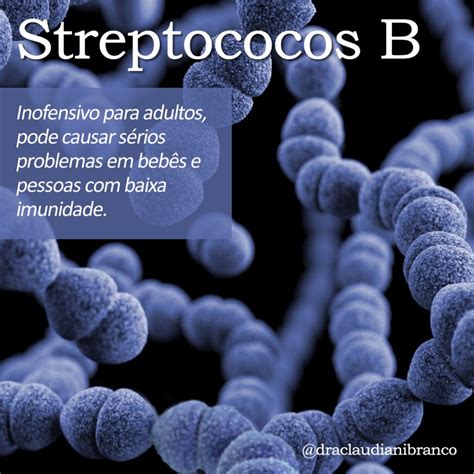 estreptococos do grupo b